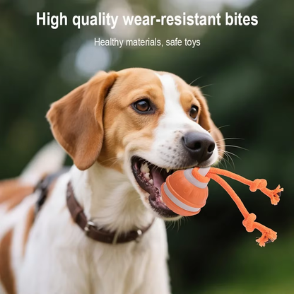 Rechargeable Smart Interactive Rolling Ball – Fun Motion Toy for Dogs 🐾