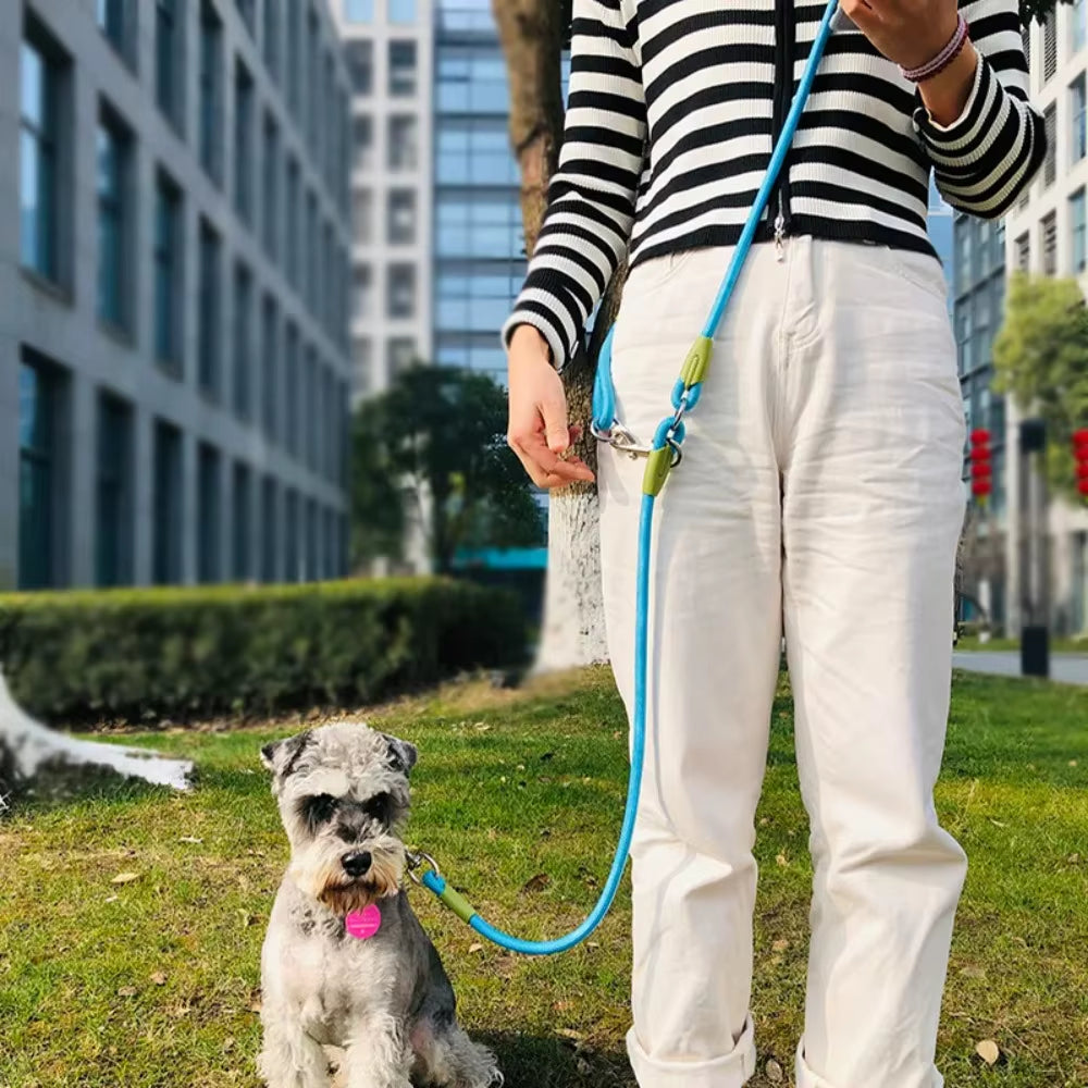 Reflective Nylon Hands-Free Leash for Dogs - Perfect for Running and Walking with Your Furry Friend