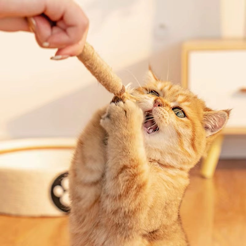 The Natural Cat “Toothbrush” They’ll Actually Love – Silvervine Dental Chew Stick