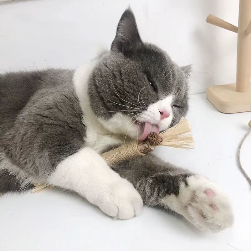 The Natural Cat “Toothbrush” They’ll Actually Love – Silvervine Dental Chew Stick