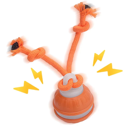 Rechargeable Smart Interactive Rolling Ball – Fun Motion Toy for Dogs 🐾