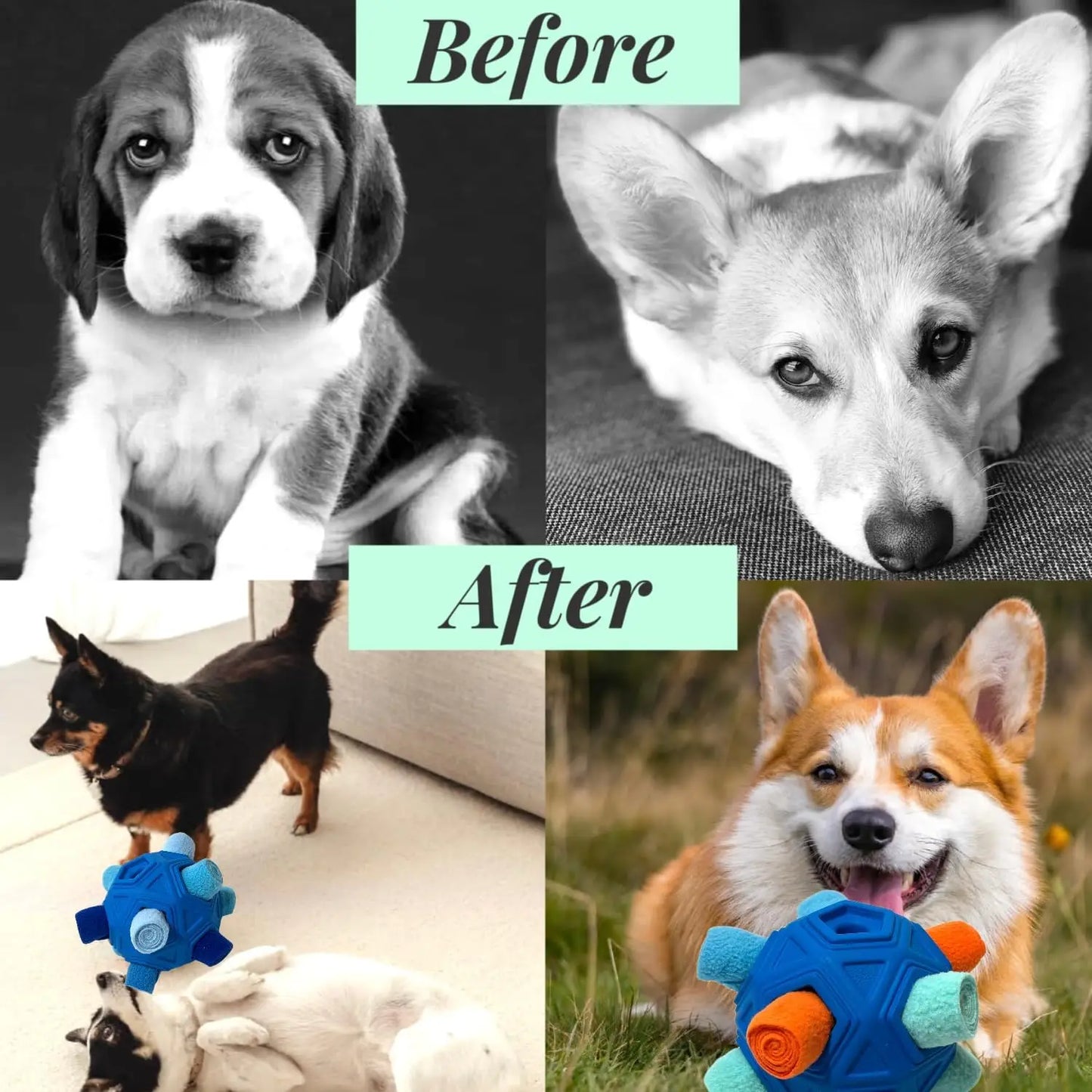 Durable Snuffle Ball for Dogs - Interactive Foraging Toy and Slow Feeder Treat Dispenser