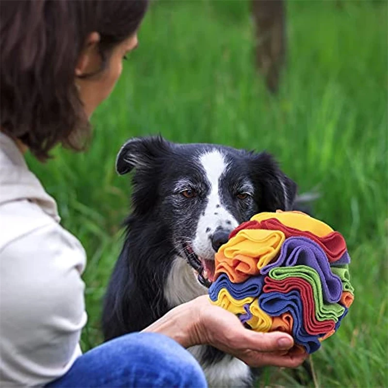 Interactive Snuffle Mat for Dogs & Cats – Puzzle Feeding & Training Blanket with Detachable Play Pads 🐾