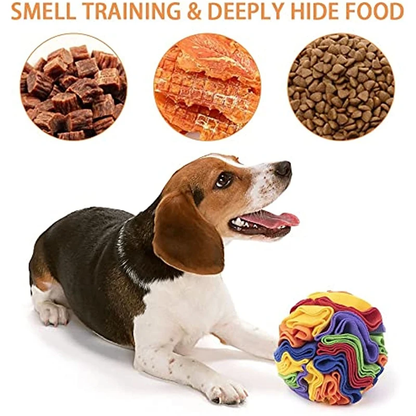 Interactive Snuffle Mat for Dogs & Cats – Puzzle Feeding & Training Blanket with Detachable Play Pads 🐾