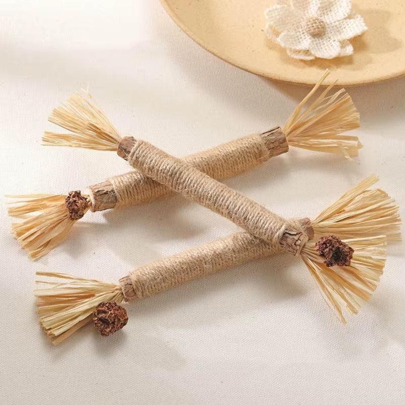 The Natural Cat “Toothbrush” They’ll Actually Love – Silvervine Dental Chew Stick